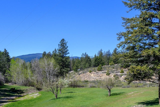 58386 Mt Highway 37, Rexford, MT 59930 - view of grassy yard featuring a mountain view