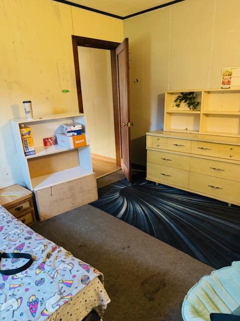 bedroom with dark colored carpet