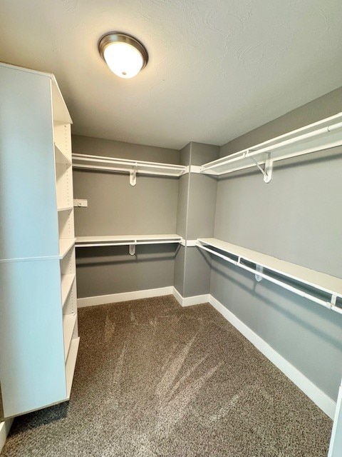 3554 Fasbender Ct, Helena, MT 59602 - spacious closet with dark carpet