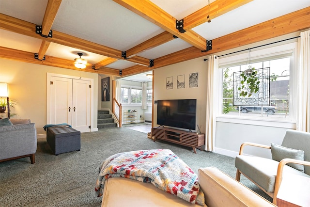 carpeted living room featuring stairs, baseboards, beam ceiling, and coffered ceiling