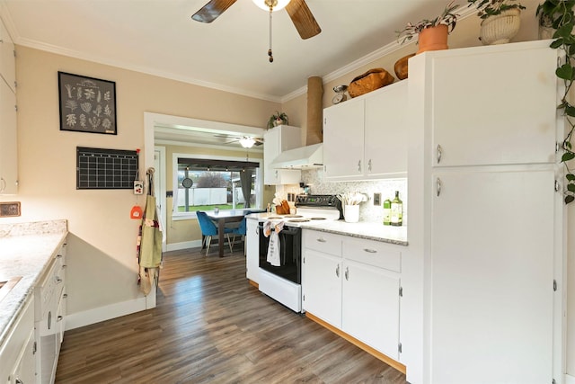 kitchen with crown molding, range with electric cooktop, a ceiling fan, wood finished floors, and under cabinet range hood