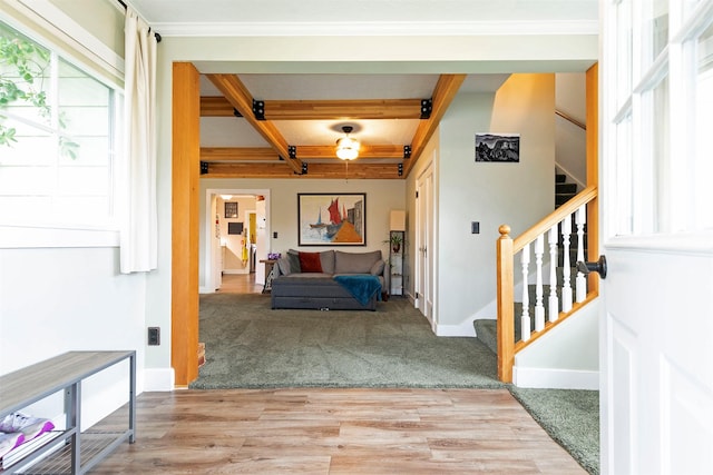 carpeted entryway with stairs, baseboards, wood finished floors, beamed ceiling, and coffered ceiling