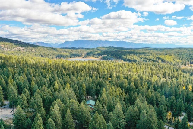 birds eye view of property with a mountain view and a forest view