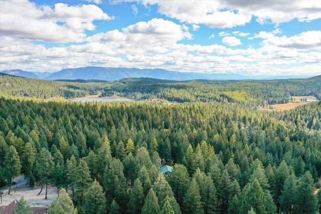 bird's eye view featuring a view of trees and a mountain view