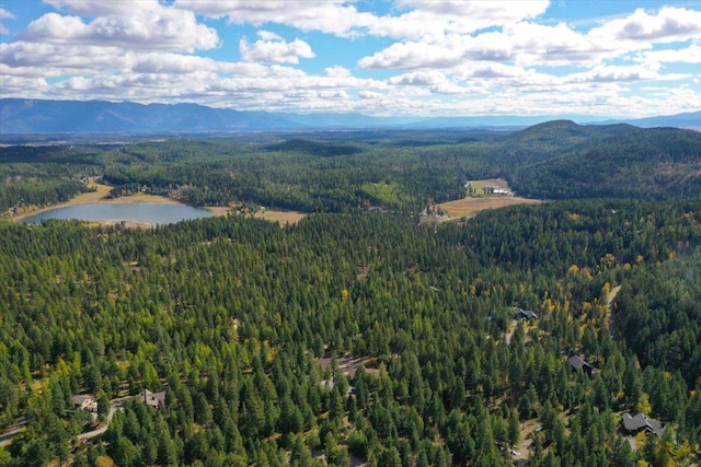 286 Antler Ridge Rd, Whitefish, MT 59937 - mountain view featuring a heavily wooded area and a large body of water