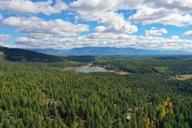 mountain view with a water view and a view of trees