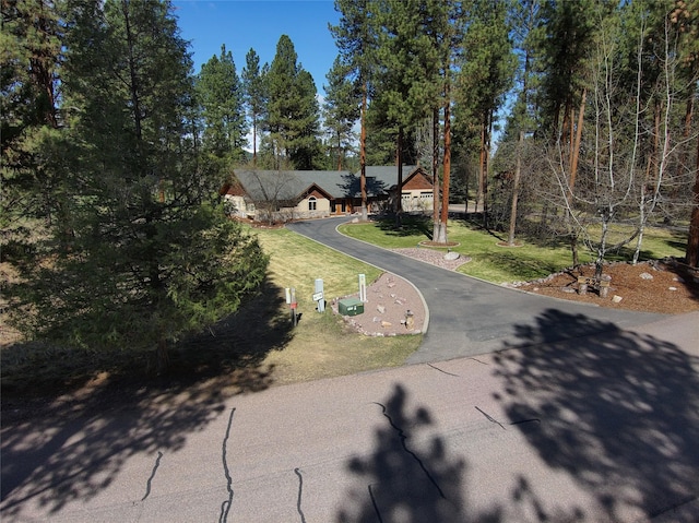 view of street featuring driveway