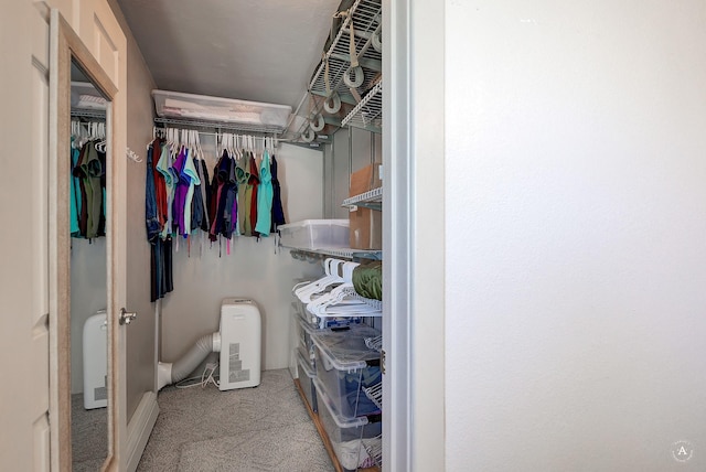 walk in closet featuring carpet floors