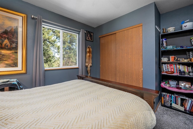 103 Tamarack Woods Dr, Lakeside, MT 59922 - carpeted bedroom featuring a closet