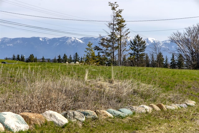 view of mountain feature