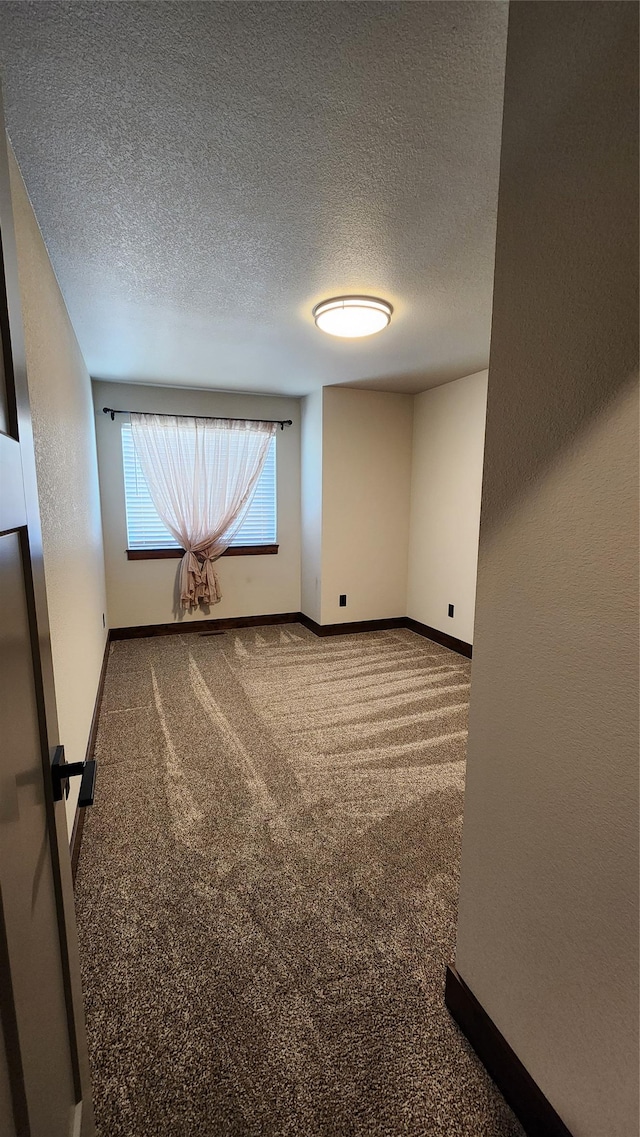 107 One Way Loop, Hamilton, MT 59840 - carpeted empty room with baseboards and a textured ceiling