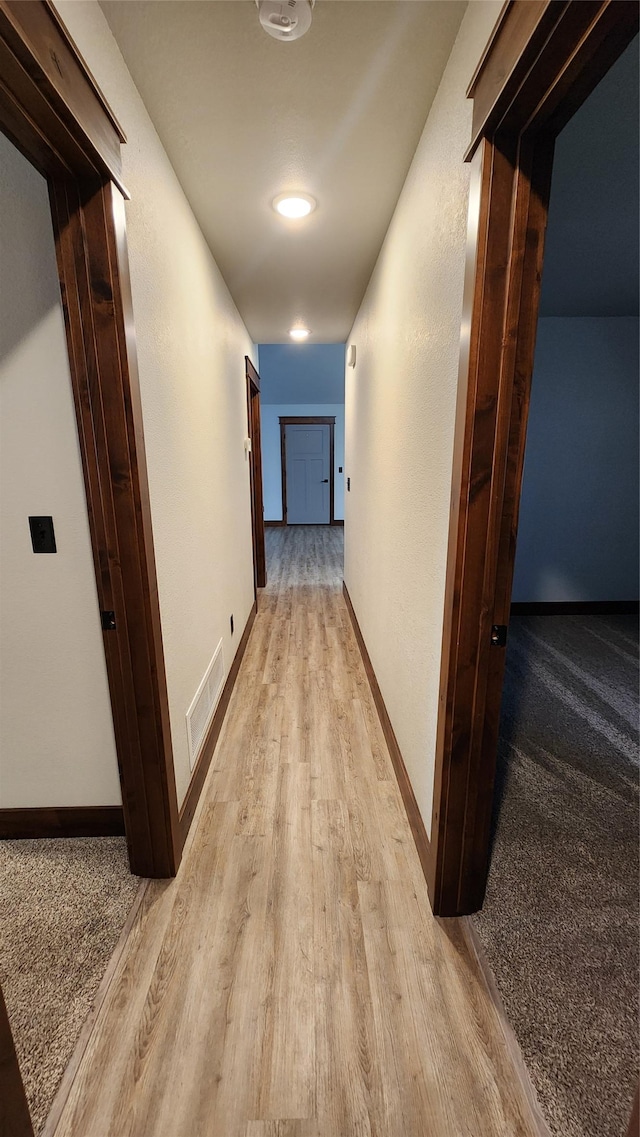 107 One Way Loop, Hamilton, MT 59840 - hall with light wood-style floors and baseboards