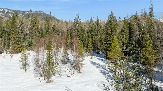 2705 Parker Hill Rd, Columbia Falls, MT 59912