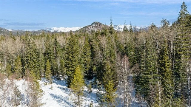 2705 Parker Hill Rd, Columbia Falls, MT 59912