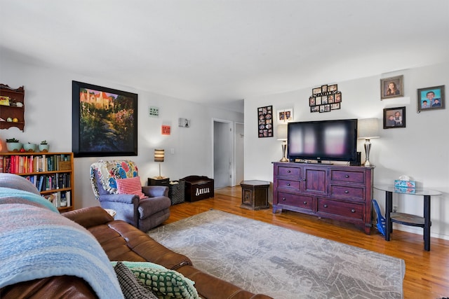 living room featuring wood finished floors