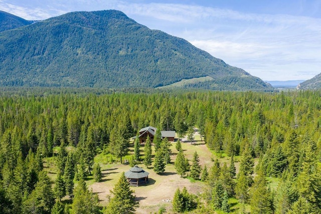 view of mountain feature featuring a forest view
