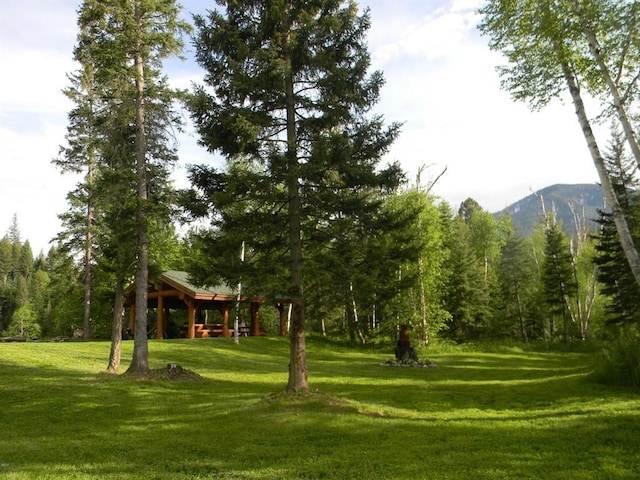 view of home's community with a yard and a mountain view
