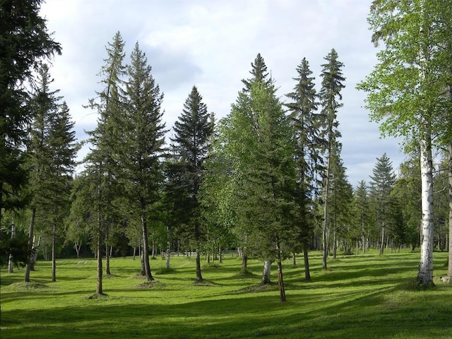surrounding community with a lawn