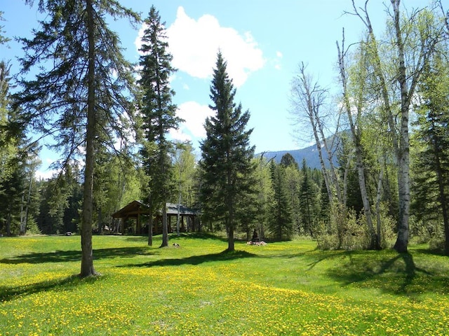 view of community featuring a lawn, a view of trees, and a gazebo