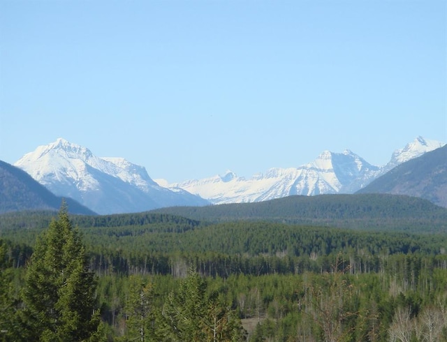 mountain view with a view of trees