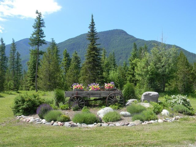 property view of mountains featuring a forest view