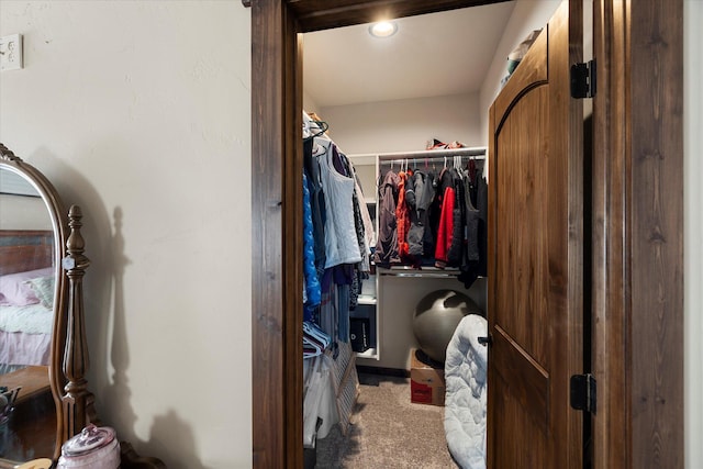 spacious closet featuring carpet flooring