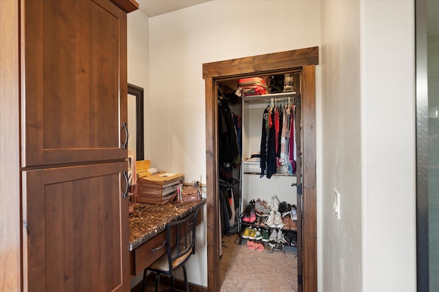view of closet