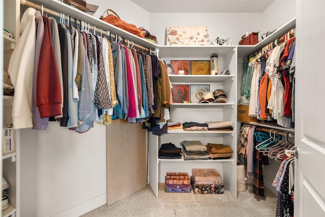 walk in closet featuring carpet