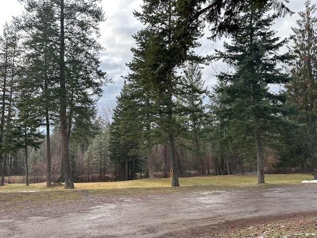 exterior space featuring a forest view