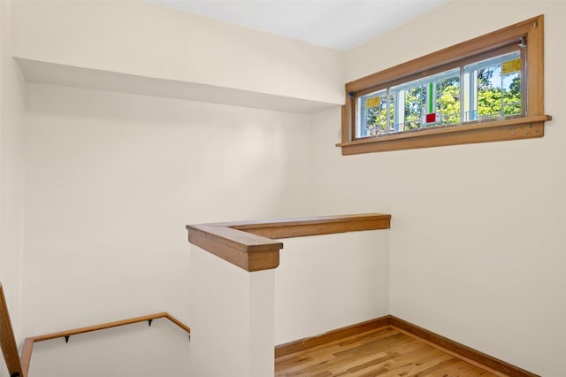 walk in closet with light wood-style flooring