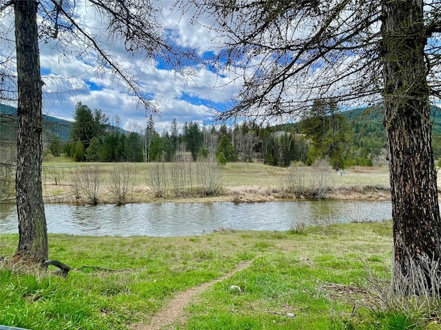 water view with a view of trees