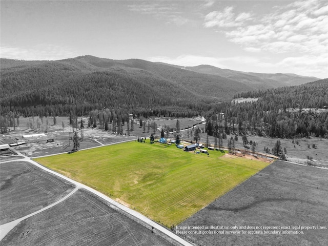view of mountain feature featuring a forest view