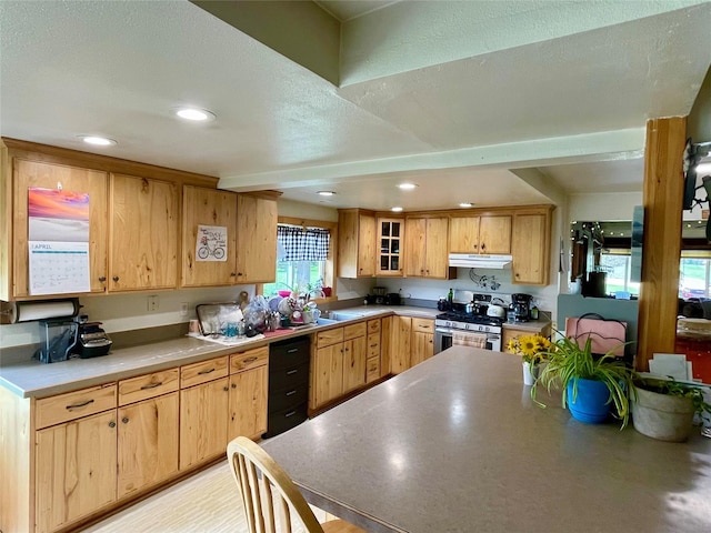kitchen with stainless steel range with gas stovetop, recessed lighting, under cabinet range hood, and glass insert cabinets