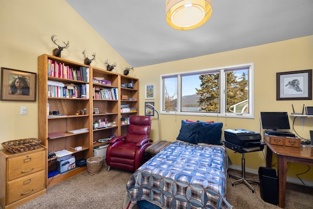 bedroom featuring carpet and lofted ceiling