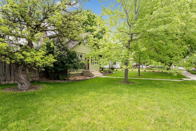 226 S Davis St, Missoula, MT 59801 - view of yard