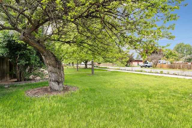 226 S Davis St, Missoula, MT 59801 - view of yard