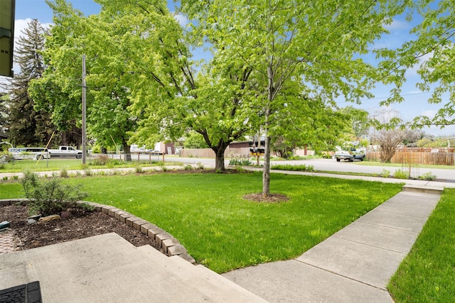 226 S Davis St, Missoula, MT 59801 - view of yard