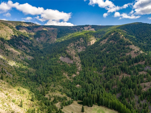mountain view with a view of trees