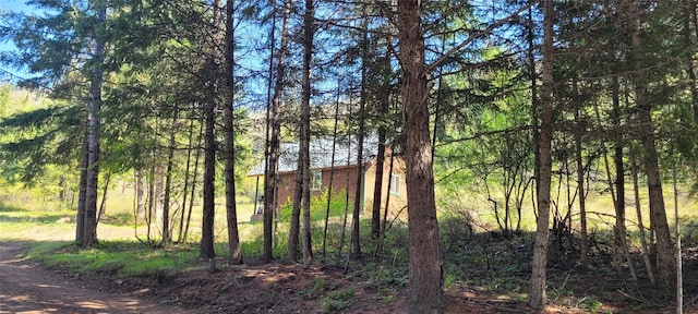 view of local wilderness featuring a wooded view