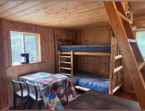 bedroom featuring wooden walls, multiple windows, and wood ceiling