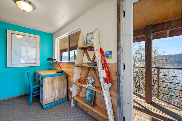 miscellaneous room with carpet flooring