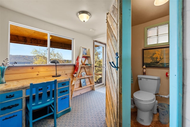 interior space with toilet and a wealth of natural light
