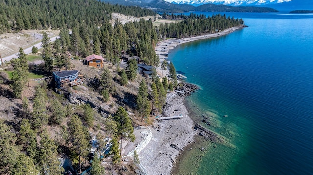 drone / aerial view with a view of trees and a water and mountain view