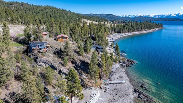 bird's eye view featuring a forest view and a water and mountain view