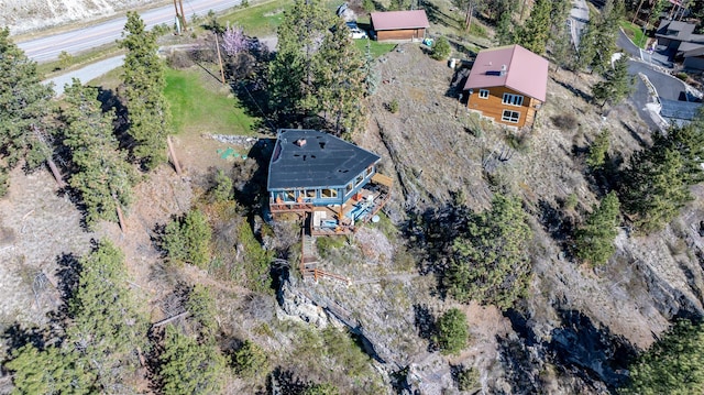 drone / aerial view