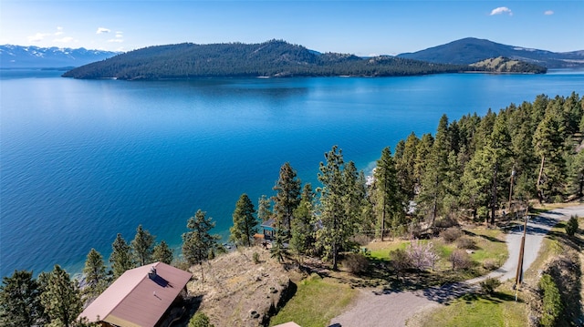 water view featuring a mountain view