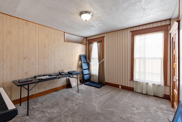 unfurnished office featuring a textured ceiling, plenty of natural light, and carpet
