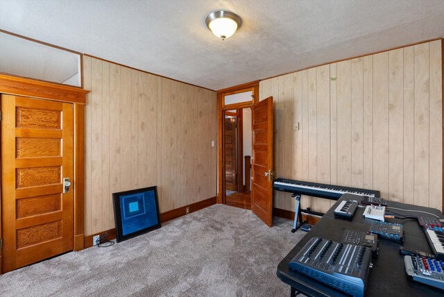 office with carpet floors, wood walls, a textured ceiling, and baseboards