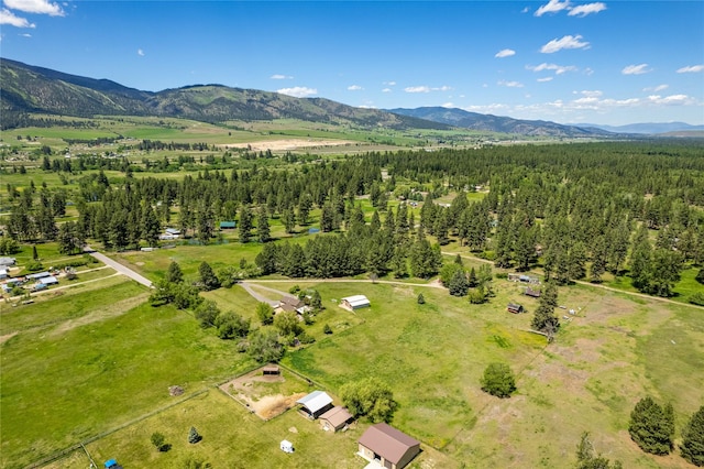19720 Leo Hansen Rd, Florence, MT 59833 - bird's eye view with a forest view and a mountain view