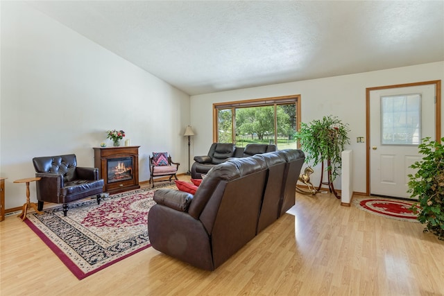 19720 Leo Hansen Rd, Florence, MT 59833 - living area featuring a glass covered fireplace, lofted ceiling, baseboards, a textured ceiling, and light wood finished floors